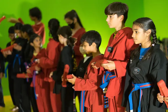 Master Chang's Martial Arts Charlotte Picture 7