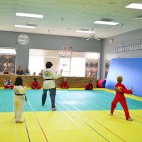 THE KICK USA TAEKWONDO ico