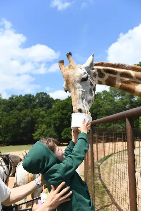 THE KICK USA TAEKWONDO Picture 5
