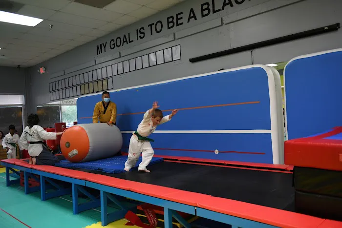 THE KICK USA TAEKWONDO Picture 4