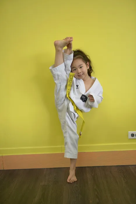 THE KICK USA TAEKWONDO Picture 10