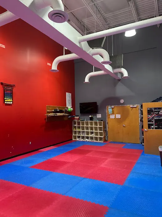 Master Chang's Martial Arts Wesley Chapel Picture 1