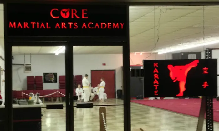 Core Martial Arts Academy Picture 2