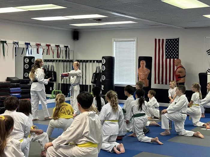 Trailblazers Taekwondo Academy Picture 2