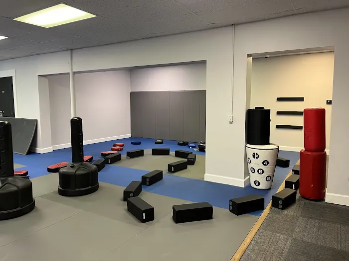 Trailblazers Taekwondo Academy Picture 1