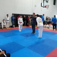 Mudo Korean Martial Arts ico