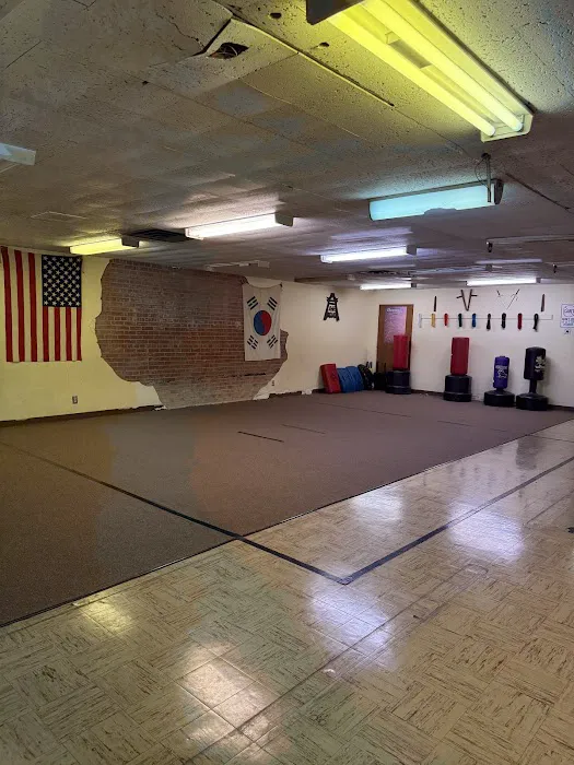 Burris' Academy of Karate Picture 1