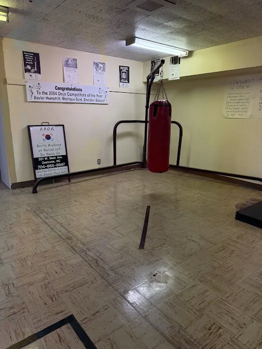 Burris' Academy of Karate Picture 5