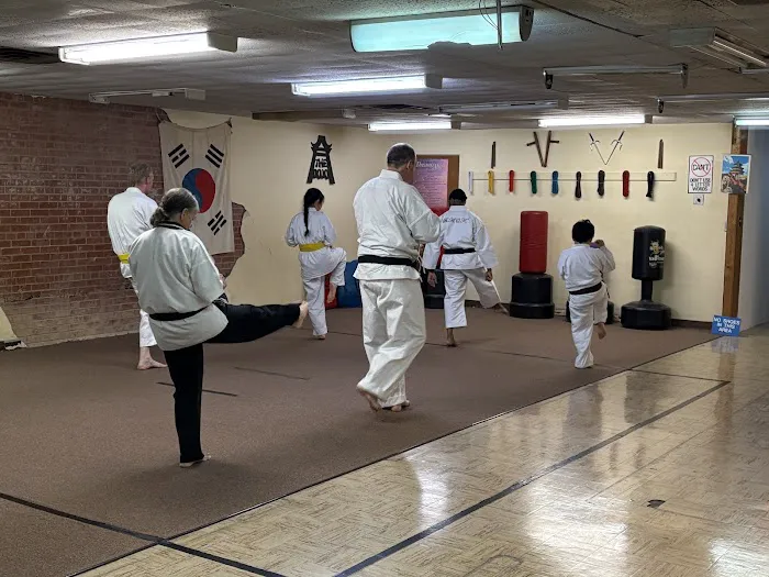 Burris' Academy of Karate Picture 8