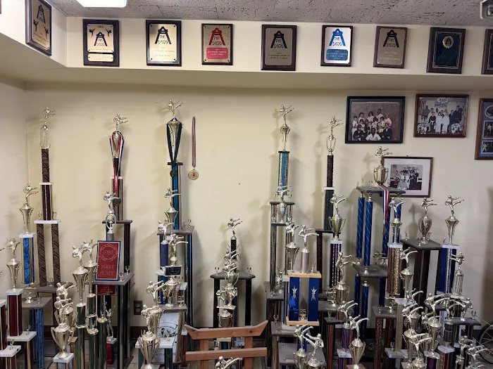 Burris' Academy of Karate Picture 6