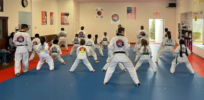 Tiger Kim's World Class Tae Kwon Do Centers Picture 2