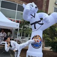 Tiger Kim's World Class Tae Kwon Do Centers ico