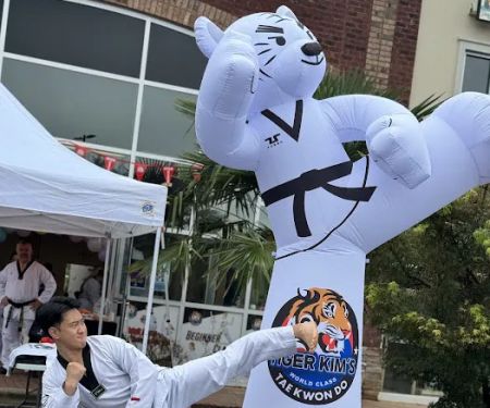 Tiger Kim's World Class Tae Kwon Do Centers