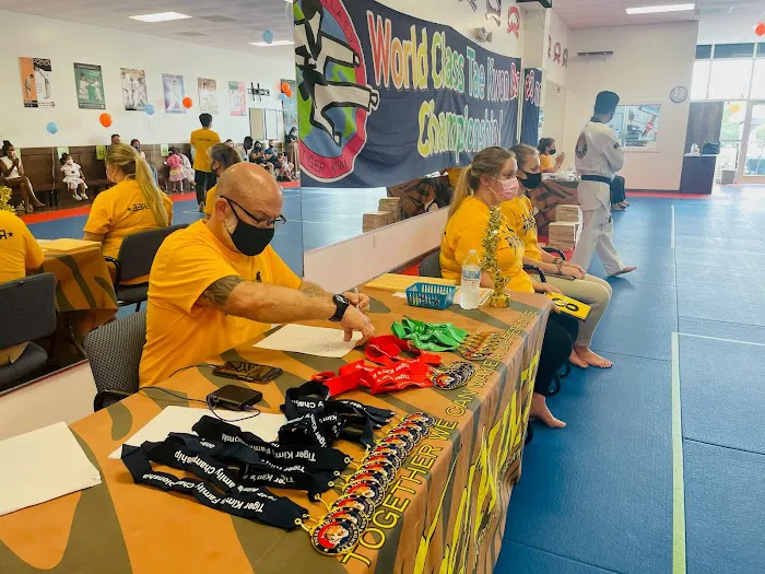 Tiger Kim's World Class Tae Kwon Do Centers Picture 9