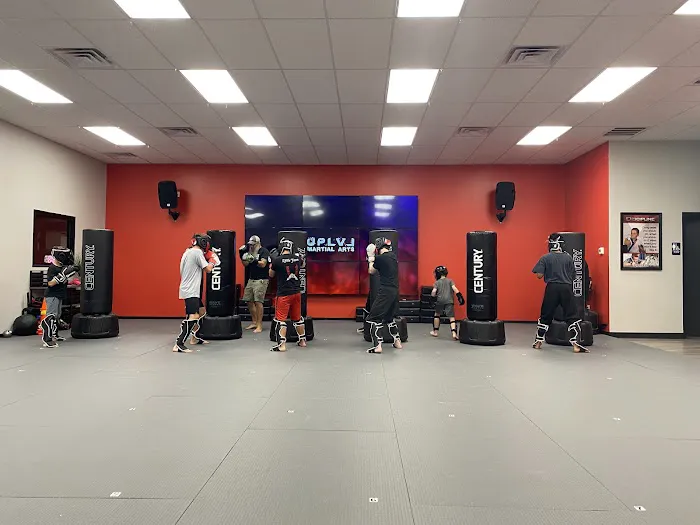 UpLevel Martial Arts - Fort Mill Picture 1