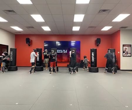 UpLevel Martial Arts - Fort Mill
