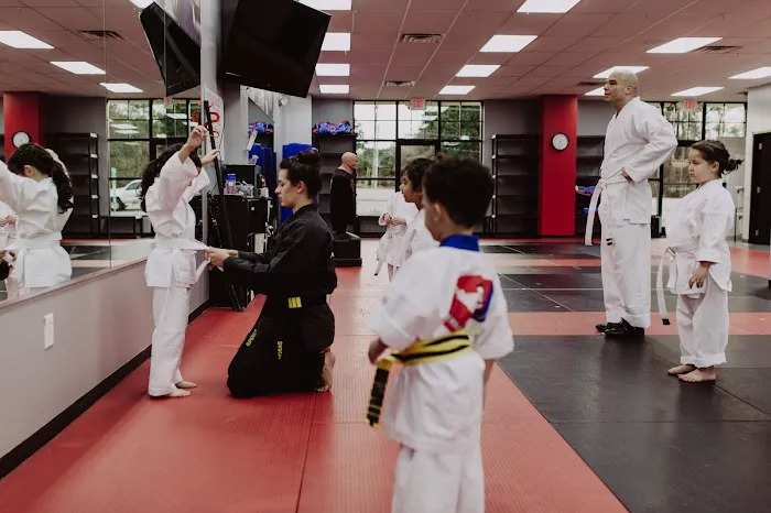 UpLevel Martial Arts - Fort Mill Picture 4