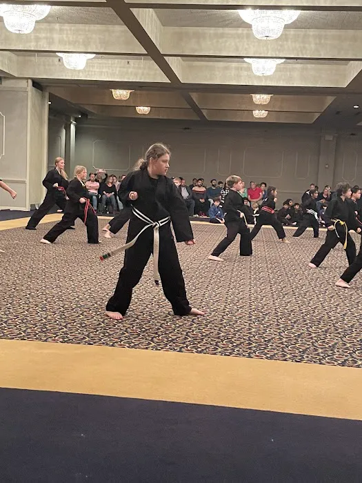 UpLevel Martial Arts - Fort Mill Picture 8