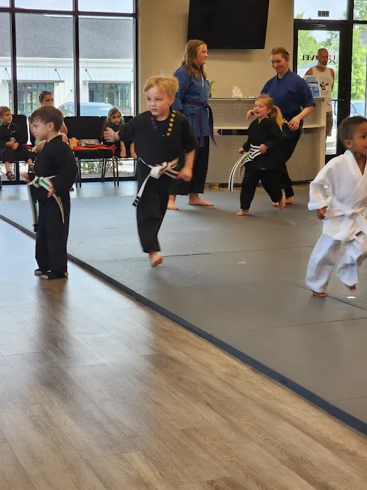 UpLevel Martial Arts - Fort Mill Picture 9
