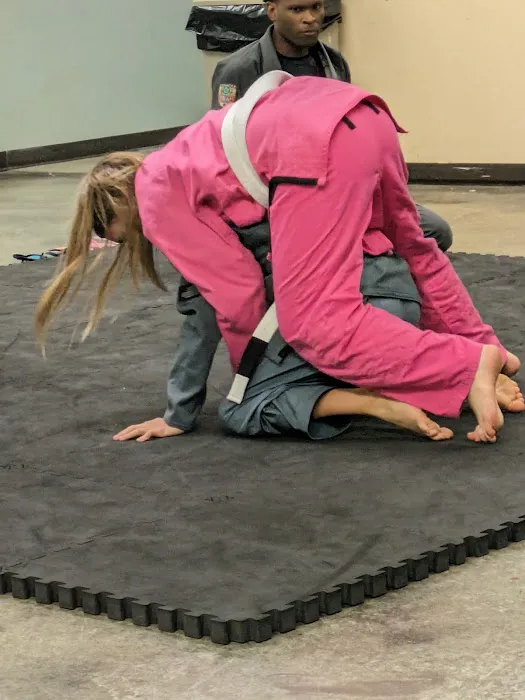 Arise Martial Arts LLC Picture 1