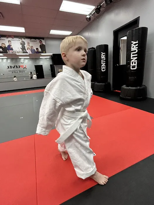 UpLevel Martial Arts - Ballantyne Picture 1