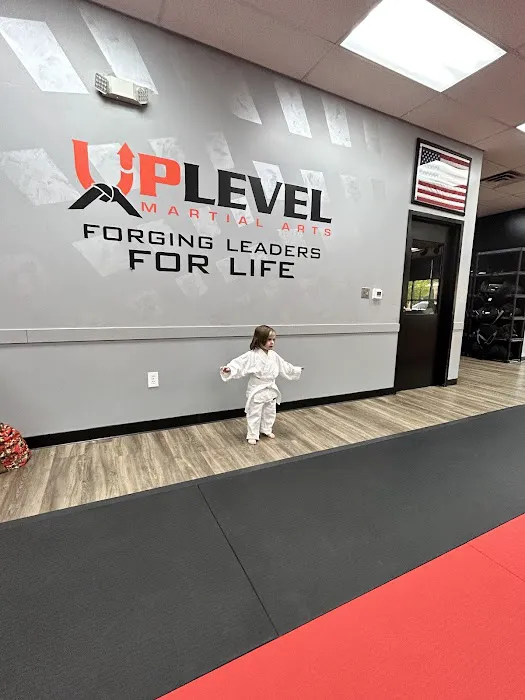 UpLevel Martial Arts - Ballantyne Picture 2
