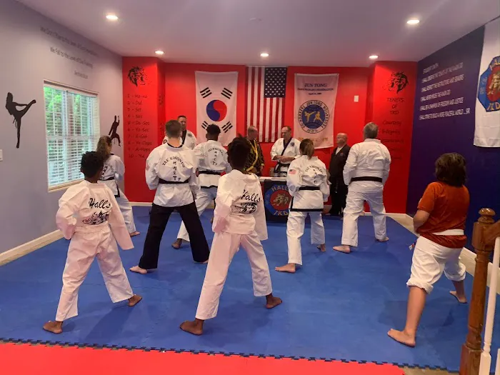 Halls Traditional Tae Kwon Do Picture 3