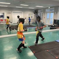 Hero Martial Arts ico