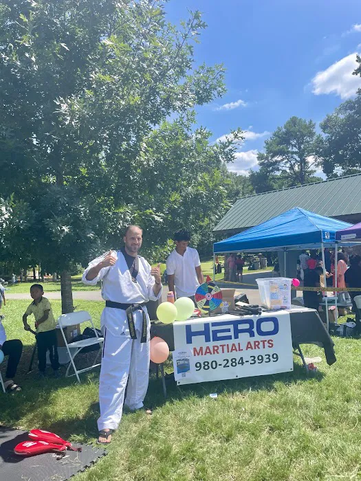 Hero Martial Arts Picture 5