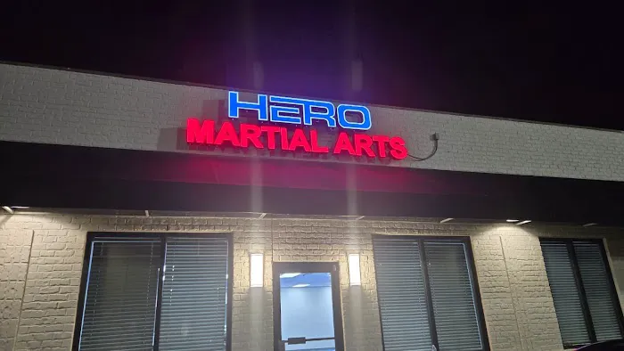 Hero Martial Arts Picture 3