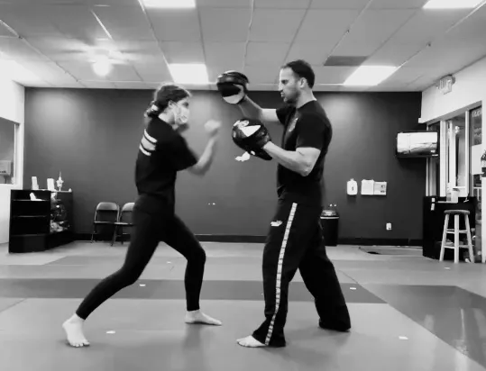 Hero Martial Arts Picture 7