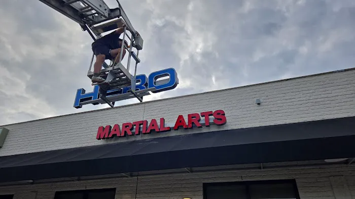 Hero Martial Arts Picture 10