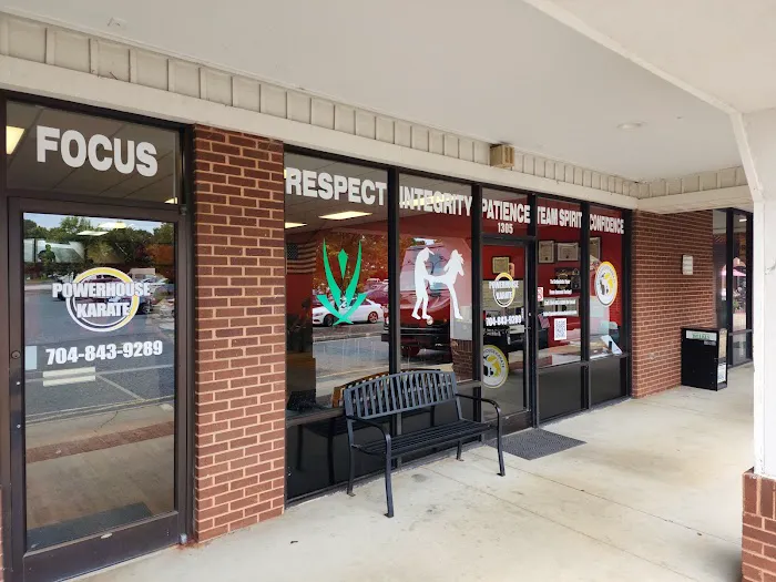 PowerHouse Karate Picture 3