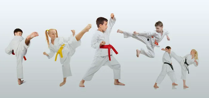 Budokan Newton Martial Arts Picture 3