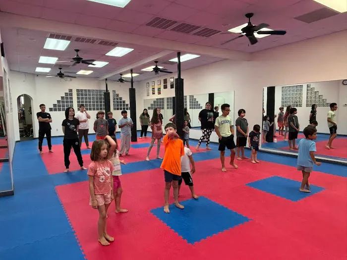 Budokan Newton Martial Arts Picture 9