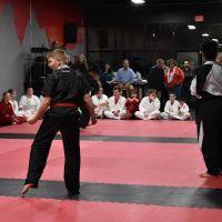 Hickory Academy of Martial Arts ico