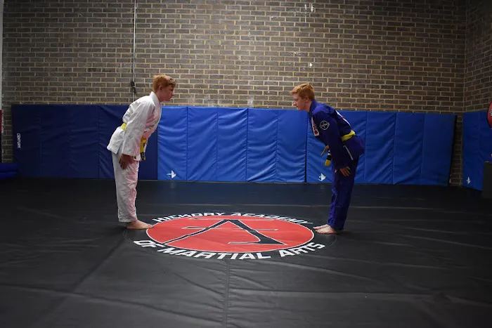 Hickory Academy of Martial Arts Picture 4