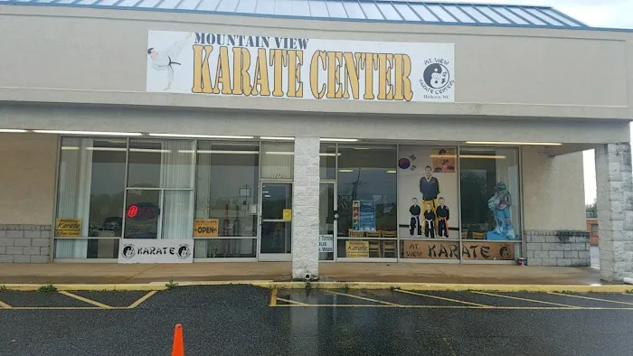 Mountain View Karate Center Picture 1