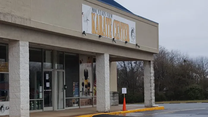 Mountain View Karate Center Picture 4