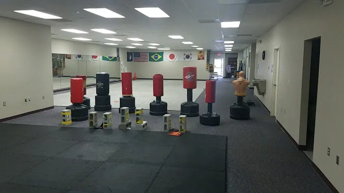 Mountain View Karate Center Picture 8