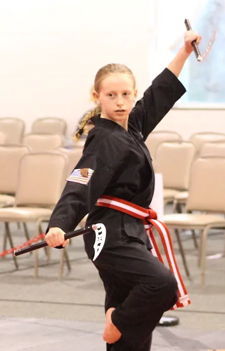 American Elite Martial Arts Picture 2