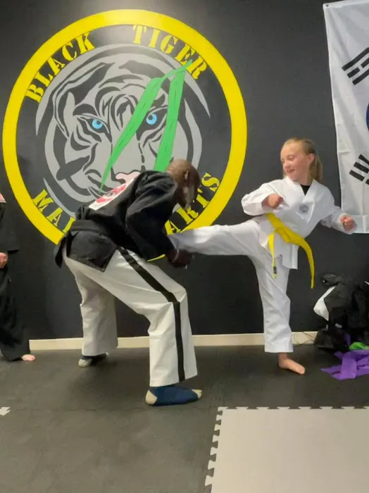 Black Tiger Martial Arts Picture 3