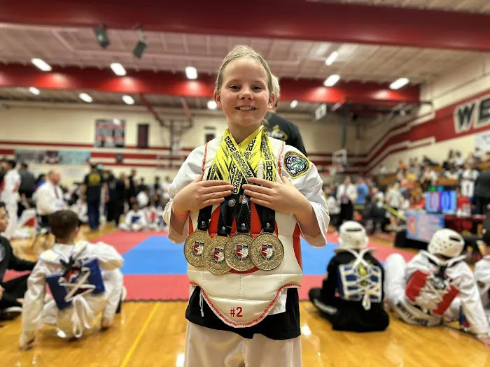 Black Tiger Martial Arts Picture 5