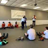 Red Wolf Martial Arts ico