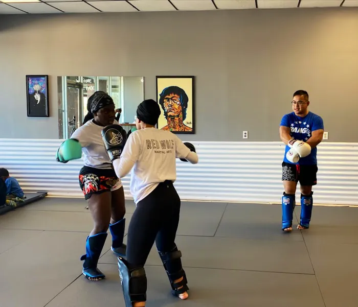 Red Wolf Martial Arts Picture 4