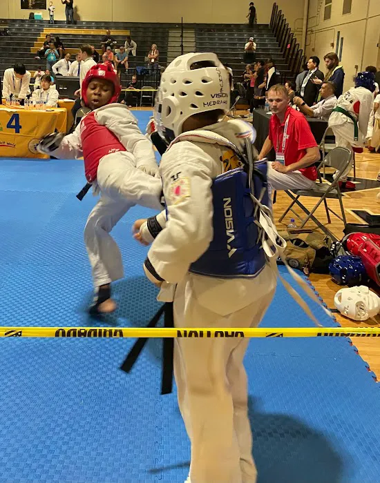 Twin Tigers Taekwondo North Carolina Picture 1