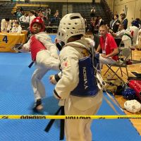Twin Tigers Taekwondo North Carolina ico
