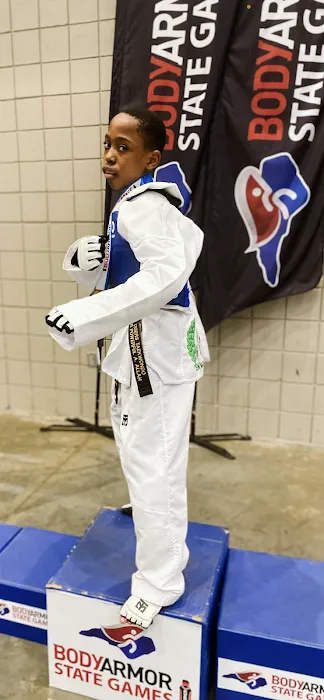 Twin Tigers Taekwondo North Carolina Picture 4