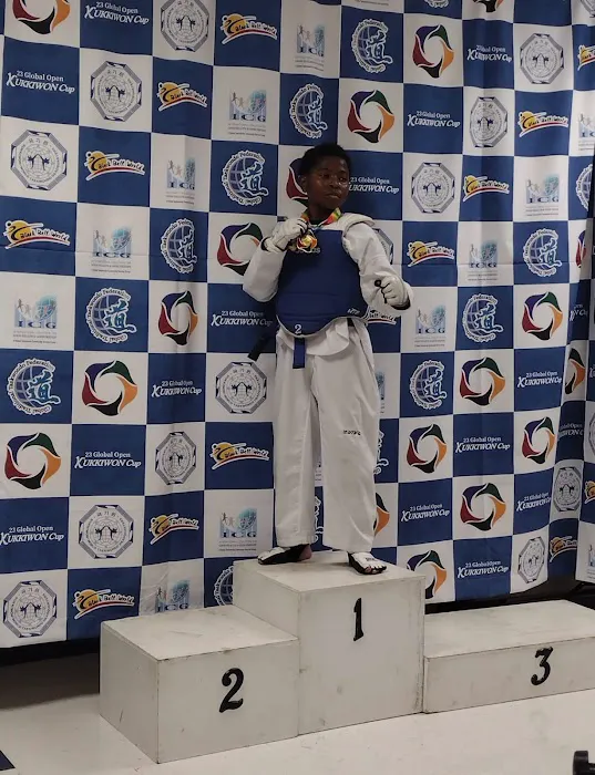 Twin Tigers Taekwondo North Carolina Picture 2