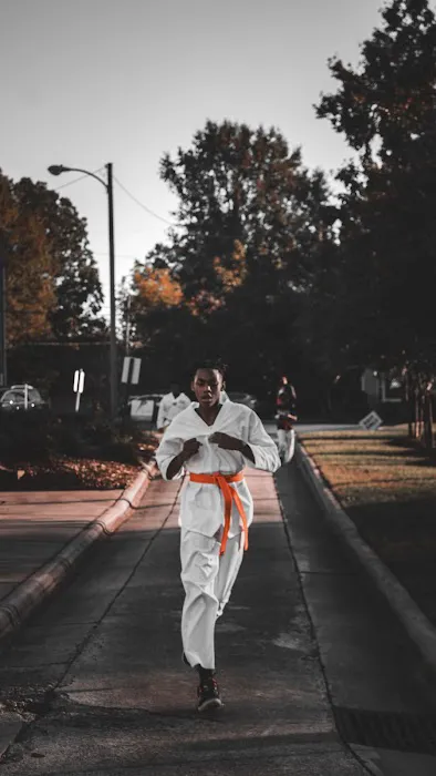 Twin Tigers Taekwondo North Carolina Picture 3